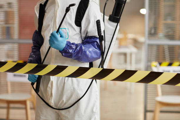 Professional Sewage Cleanup technician working in Fruitport, MI